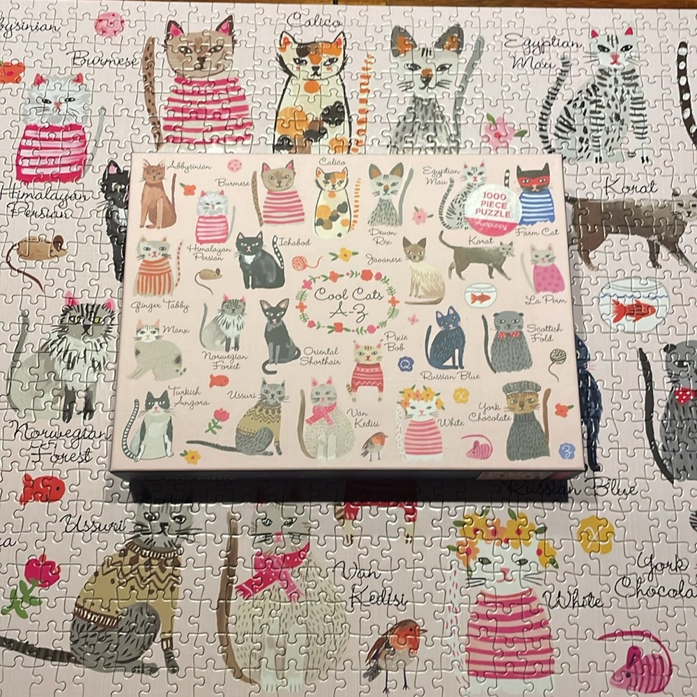 Cool Cats Jigsaw Puzzle by mudpuppy 1000 pieces complete
